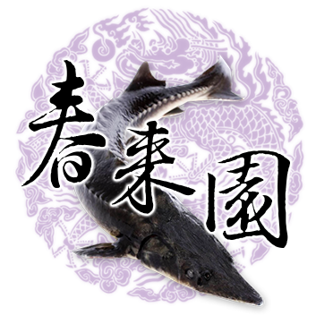 春來園休閒餐館